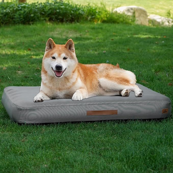 Medium Dog Outdoor Removable And Washable