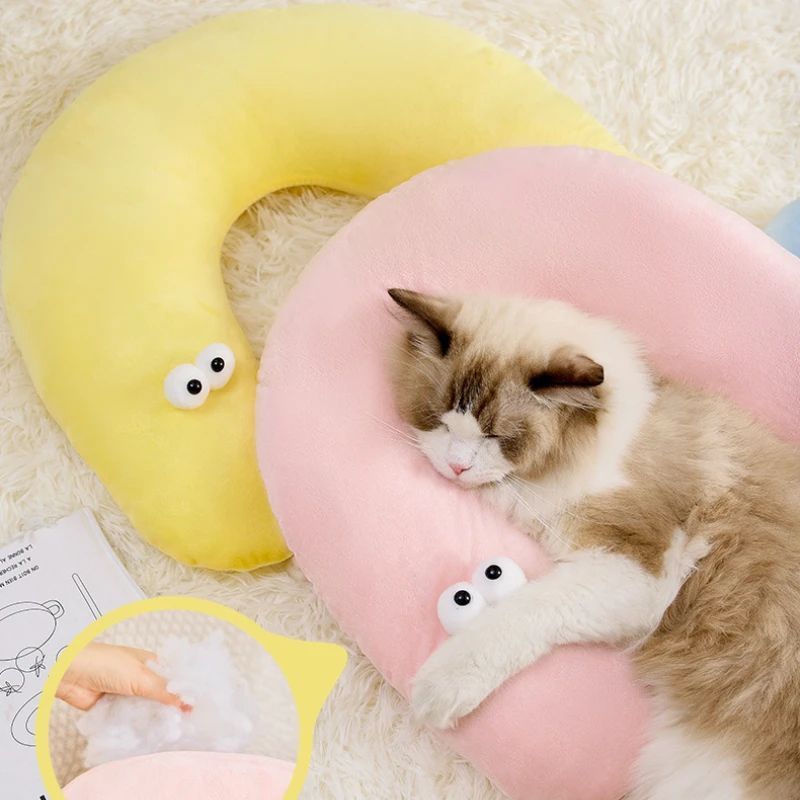 Pet Accessories