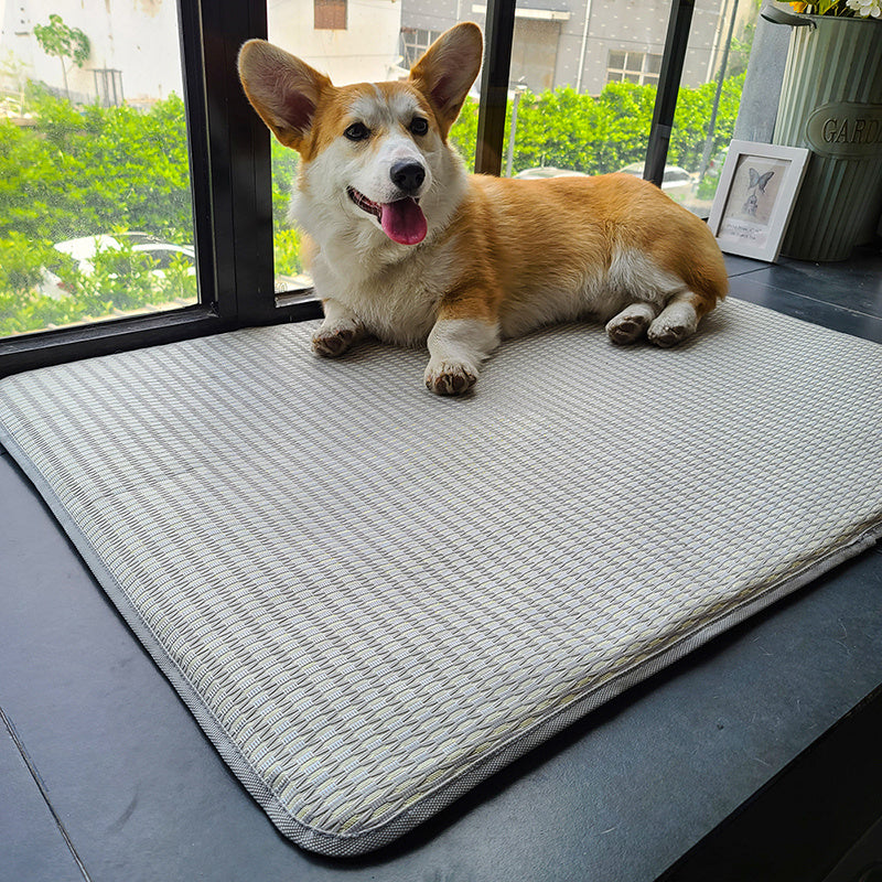Dog Mat Sleeping With Pet Mat Summer