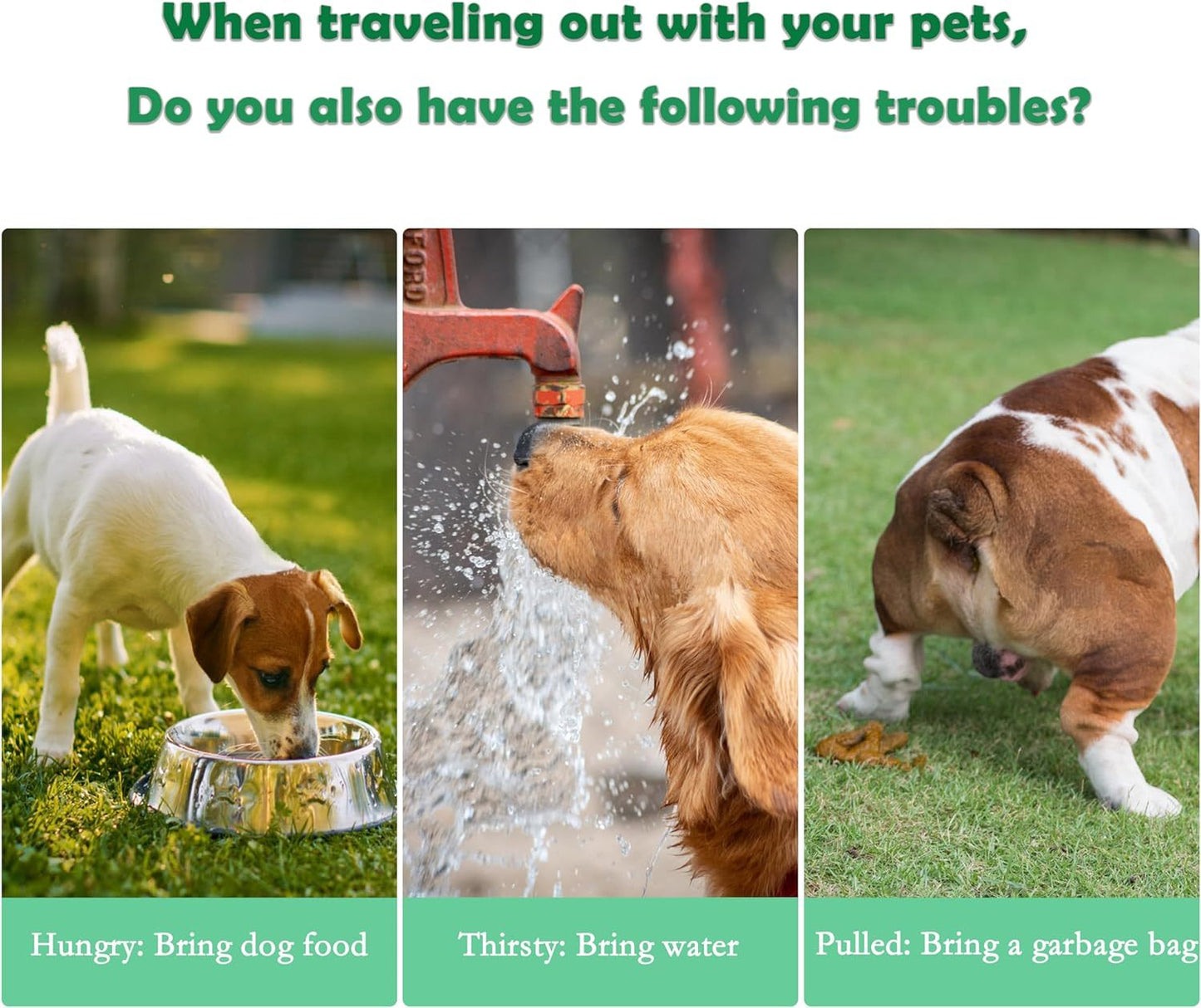 3 In 1 Pet Water Bottle Outdoor Portable Dog Water Bottle