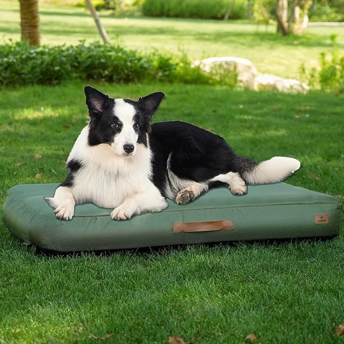 Medium Dog Outdoor Removable And Washable