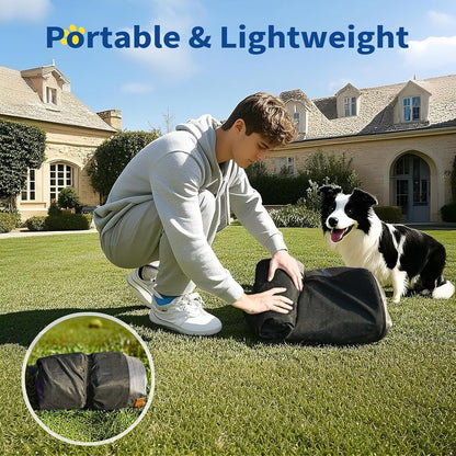 Medium Dog Outdoor Removable And Washable