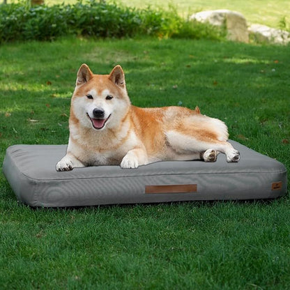 Medium Dog Outdoor Removable And Washable