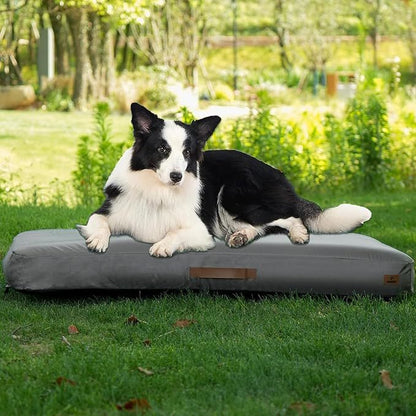 Medium Dog Outdoor Removable And Washable