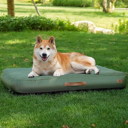 Medium Dog Outdoor Removable And Washable